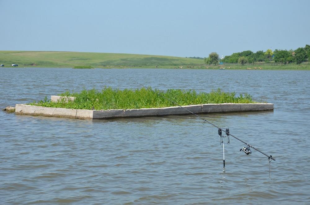Care au fost cele mai fierbinti subiecte ale anului 2017 in pescuit?